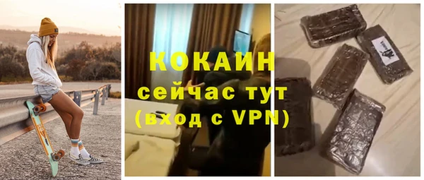 прущие грибы Абаза