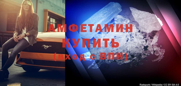 прущие грибы Абаза