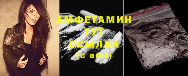 прущие грибы Абаза