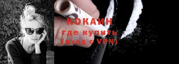 прущие грибы Абаза