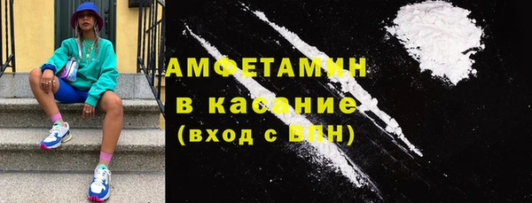 прущие грибы Абаза