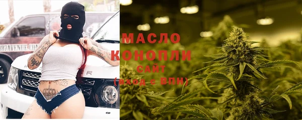 прущие грибы Абаза