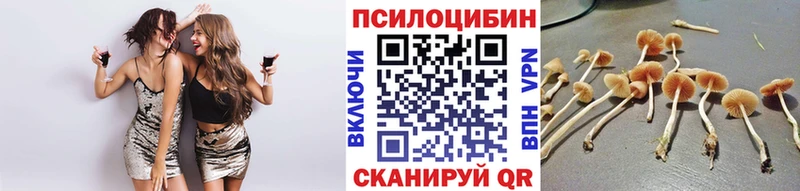 ссылка на мегу как войти  Тюкалинск  Галлюциногенные грибы Magic Shrooms 